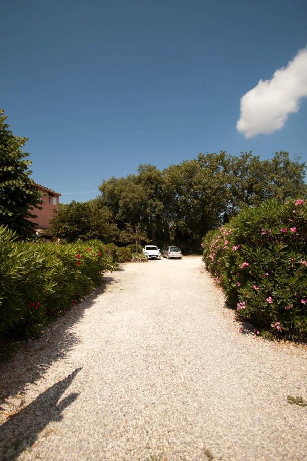 Le Mas Du Bijou Bleu Puget-sur Argens Exterior foto