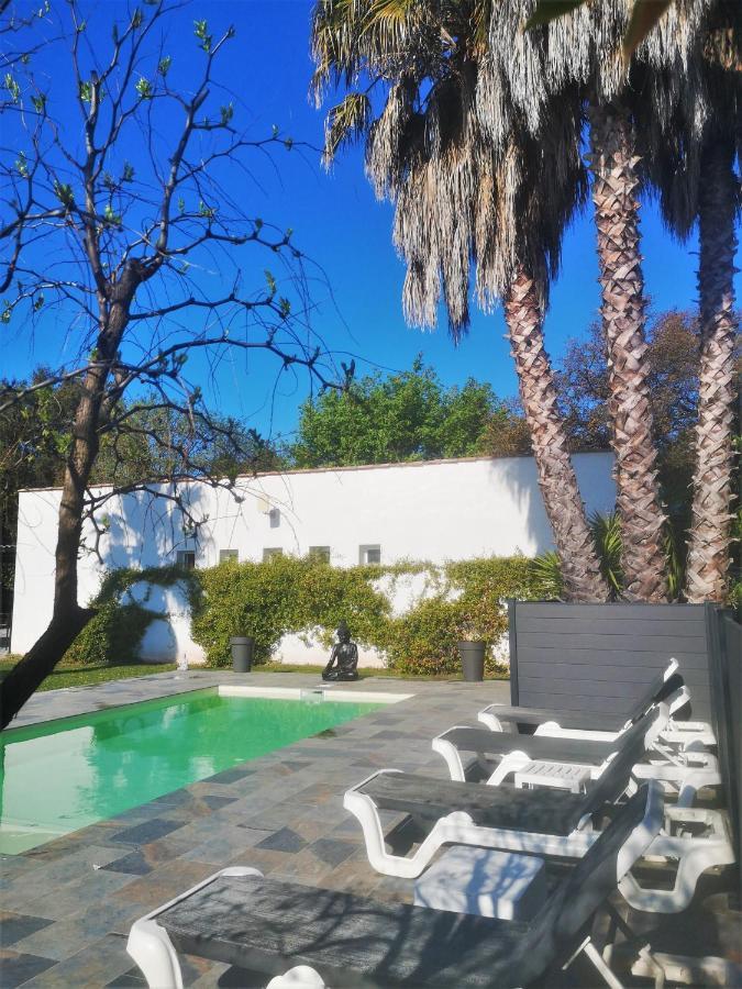Le Mas Du Bijou Bleu Puget-sur Argens Exterior foto