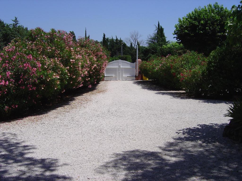 Le Mas Du Bijou Bleu Puget-sur Argens Quarto foto